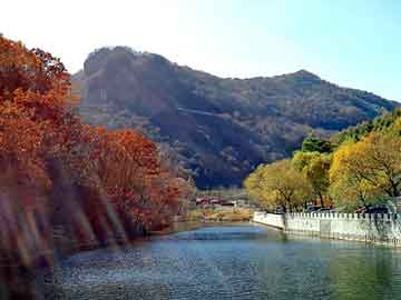 天天彩好彩天天免费，硝酸铵报价